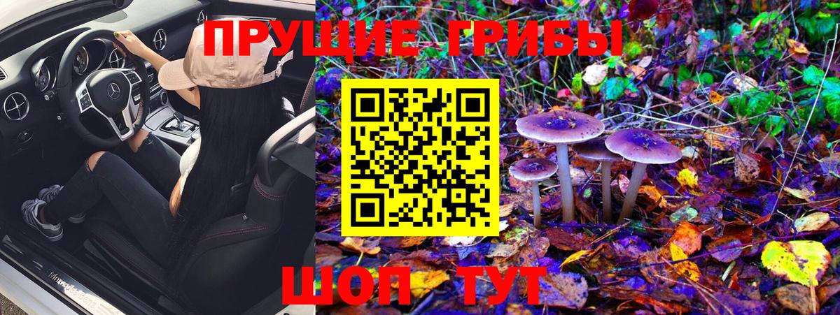 Галлюциногенные грибы мицелий Азнакаево