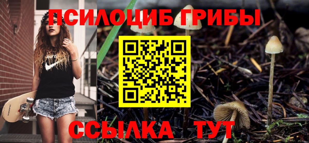 Азнакаево  Галлюциногенные грибы мухоморы  Галлюциногенные грибы прущие грибы  Вход с VPN 